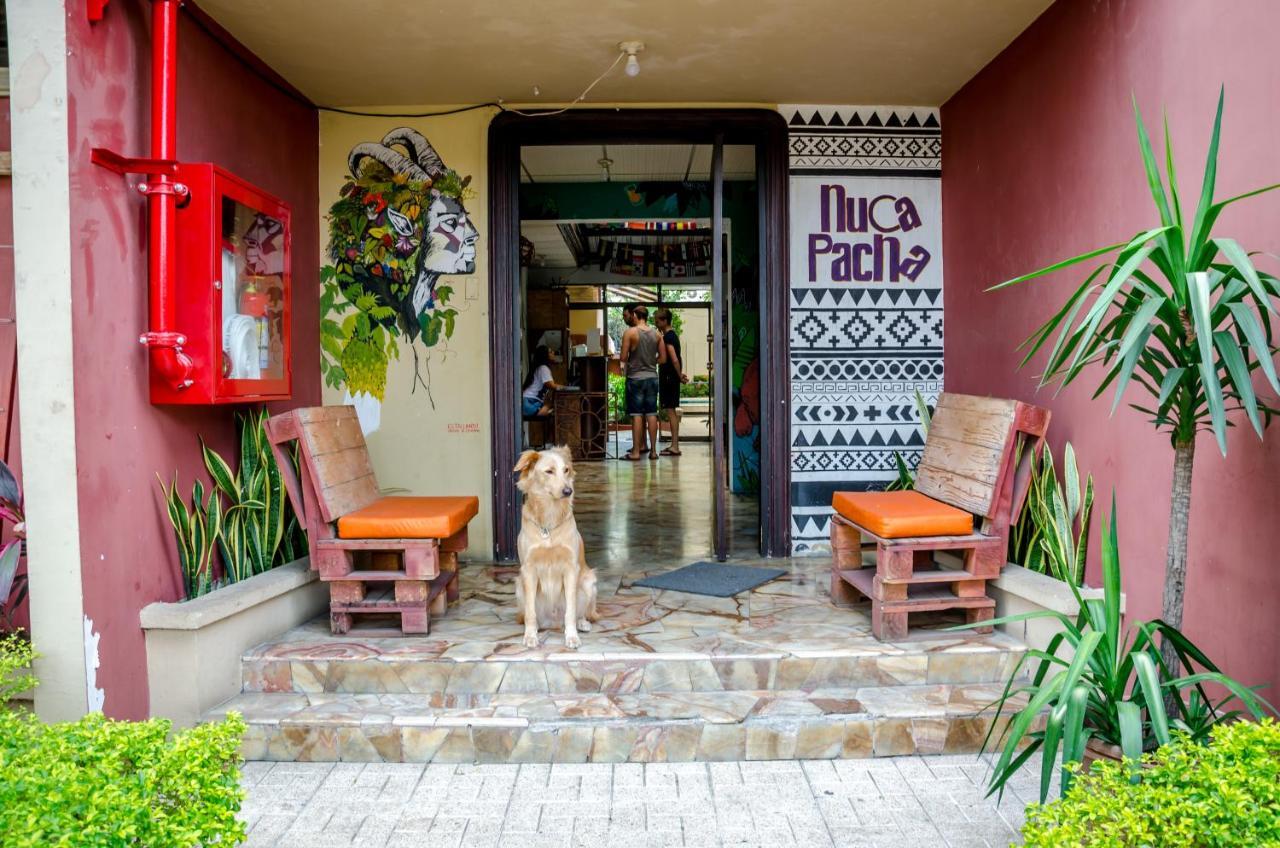 Hostel Nucapacha Guayaquil Dış mekan fotoğraf